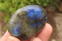 Polished Labradorite Galet / Palm Stones x 20 From Tulear, Madagascar