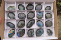 Polished Labradorite Galet / Palm Stones x 20 From Tulear, Madagascar