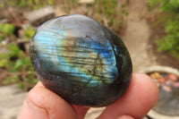 Polished Labradorite Galet / Palm Stones x 20 From Tulear, Madagascar