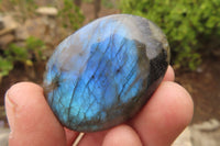 Polished Labradorite Galet / Palm Stones x 20 From Tulear, Madagascar