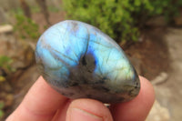 Polished Labradorite Galet / Palm Stones x 20 From Tulear, Madagascar