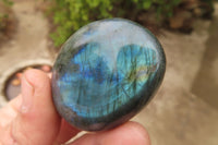 Polished Labradorite Galet / Palm Stones x 20 From Tulear, Madagascar