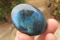 Polished Labradorite Galet / Palm Stones x 20 From Tulear, Madagascar