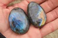 Polished Labradorite Galet / Palm Stones x 20 From Tulear, Madagascar