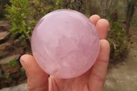 Polished Star Rose Quartz Spheres x 2 From Madagascar