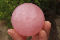 Polished Star Rose Quartz Spheres x 2 From Madagascar