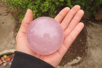 Polished Star Rose Quartz Spheres x 2 From Madagascar