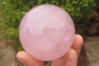 Polished Star Rose Quartz Spheres x 2 From Madagascar