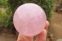 Polished Star Rose Quartz Spheres x 2 From Madagascar