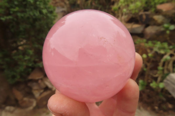 Polished Star Rose Quartz Spheres x 2 From Madagascar