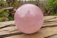 Polished Star Rose Quartz Spheres x 2 From Madagascar