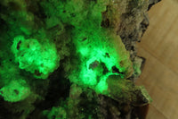 Natural Fluorescent Hyalite Opal Specimen x 1 From Namibia