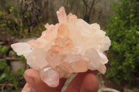 Natural Quartz Clusters x 6 From Madagascar