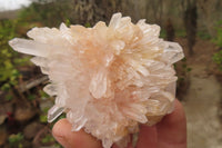 Natural Quartz Clusters x 6 From Madagascar