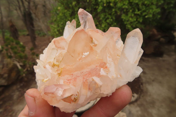 Natural Quartz Clusters x 6 From Madagascar