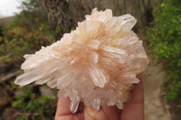 Natural Quartz Clusters x 6 From Madagascar