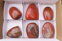 Polished Red Jasper Standing Free Forms x 6 From Madagascar