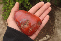 Polished Red Jasper Standing Free Forms x 6 From Madagascar