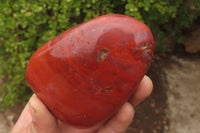 Polished Red Jasper Standing Free Forms x 6 From Madagascar