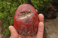 Polished Red Jasper Standing Free Forms x 6 From Madagascar