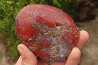 Polished Red Jasper Standing Free Forms x 6 From Madagascar