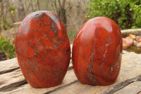 Polished Red Jasper Standing Free Forms x 6 From Madagascar