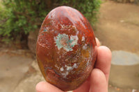 Polished Red Jasper Standing Free Forms x 6 From Madagascar