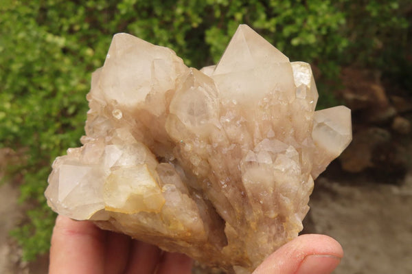 Natural Quartz Clusters x 2 From Luena, Congo