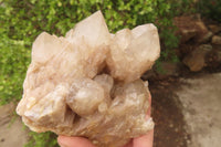 Natural Quartz Clusters x 2 From Luena, Congo