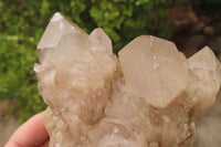 Natural Quartz Clusters x 2 From Luena, Congo