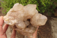 Natural Quartz Clusters x 2 From Luena, Congo