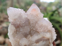 Natural Ametrine Spirit Quartz Clusters x 6 From South Africa