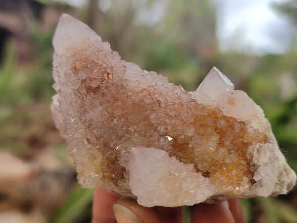 Natural Ametrine Spirit Quartz Clusters x 6 From South Africa