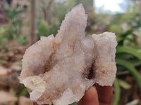 Natural Ametrine Spirit Quartz Clusters x 6 From South Africa