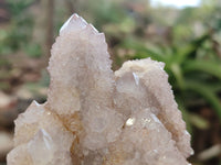 Natural Ametrine Spirit Quartz Clusters x 6 From South Africa