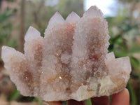 Natural Ametrine Spirit Quartz Clusters x 6 From South Africa