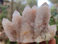 Natural Ametrine Spirit Quartz Clusters x 6 From South Africa