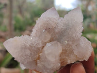 Natural Ametrine Spirit Quartz Clusters x 6 From South Africa