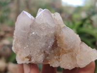 Natural Ametrine Spirit Quartz Clusters x 6 From South Africa