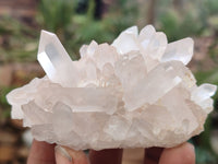 Natural Clear Quartz Clusters x 12 From Madagascar