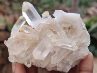 Natural Clear Quartz Clusters x 12 From Madagascar