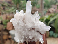 Natural Clear Quartz Clusters x 12 From Madagascar