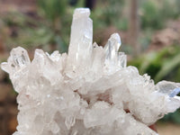 Natural Clear Quartz Clusters x 12 From Madagascar