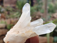 Natural Clear Quartz Clusters x 12 From Madagascar