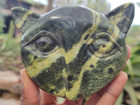 Polished Leopard Stone Cat Face Carvings x 3 From Zimbabwe