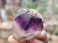 Natural Amethyst Crystals x 20 From Chiredzi, Zimbabwe