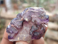 Natural Amethyst Crystals x 20 From Chiredzi, Zimbabwe