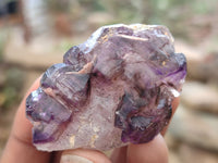 Natural Amethyst Crystals x 20 From Chiredzi, Zimbabwe