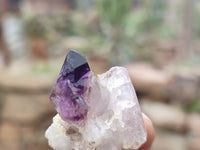 Natural Amethyst Crystals x 20 From Chiredzi, Zimbabwe