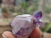 Natural Amethyst Crystals x 20 From Chiredzi, Zimbabwe